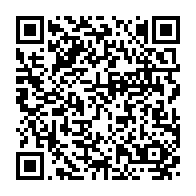 QRCODE - products-mirrors-wardrobe-mirror-350-x-1850-detail