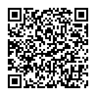 QRCODE - products-wardrobe-mirrors-wardrobe-mirror-450-x-1950-detail